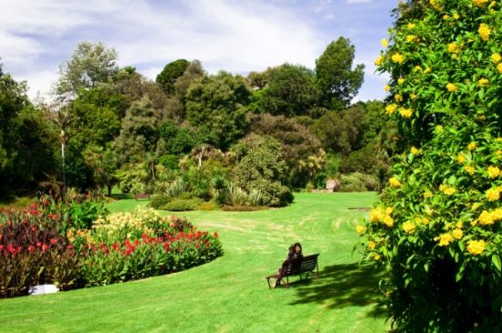 Vườn thực vật Hoàng Gia Melbourne